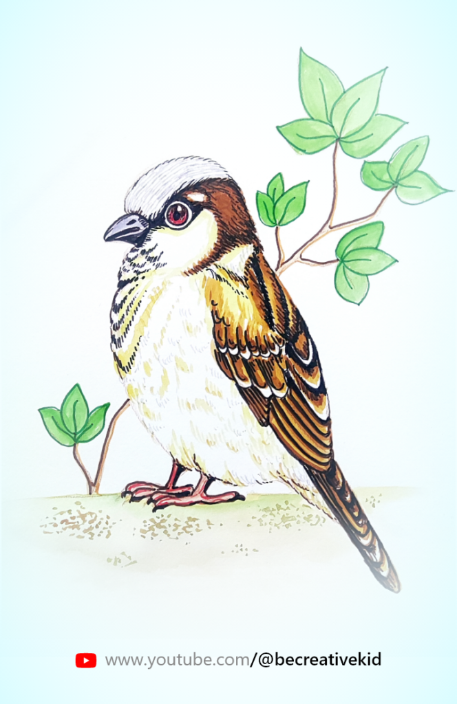 Free coloring pages for coloring Sparrow pdf download and fill color - how to fill color Sparrow