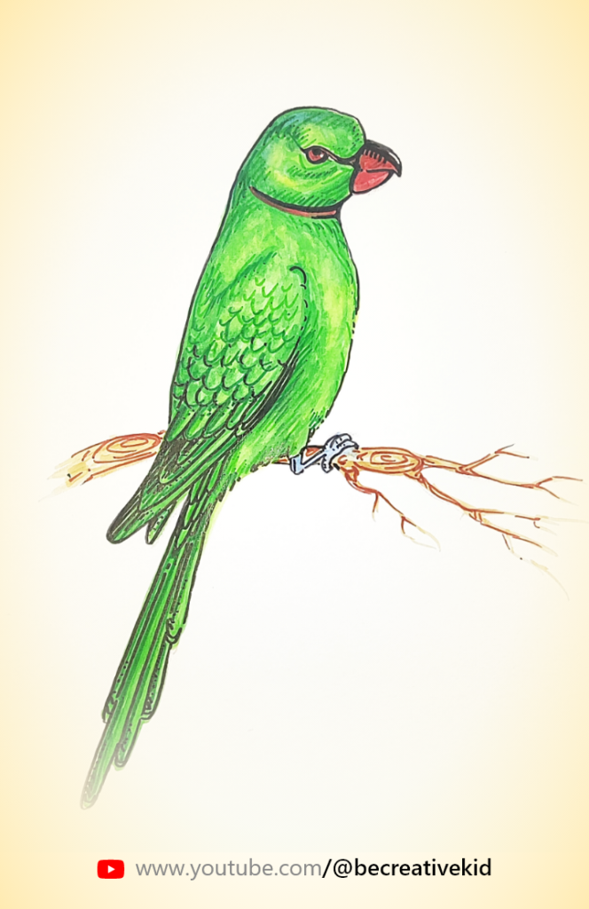 Free coloring page for coloring Parrot pdf download and fill color - how to fill color Parrot