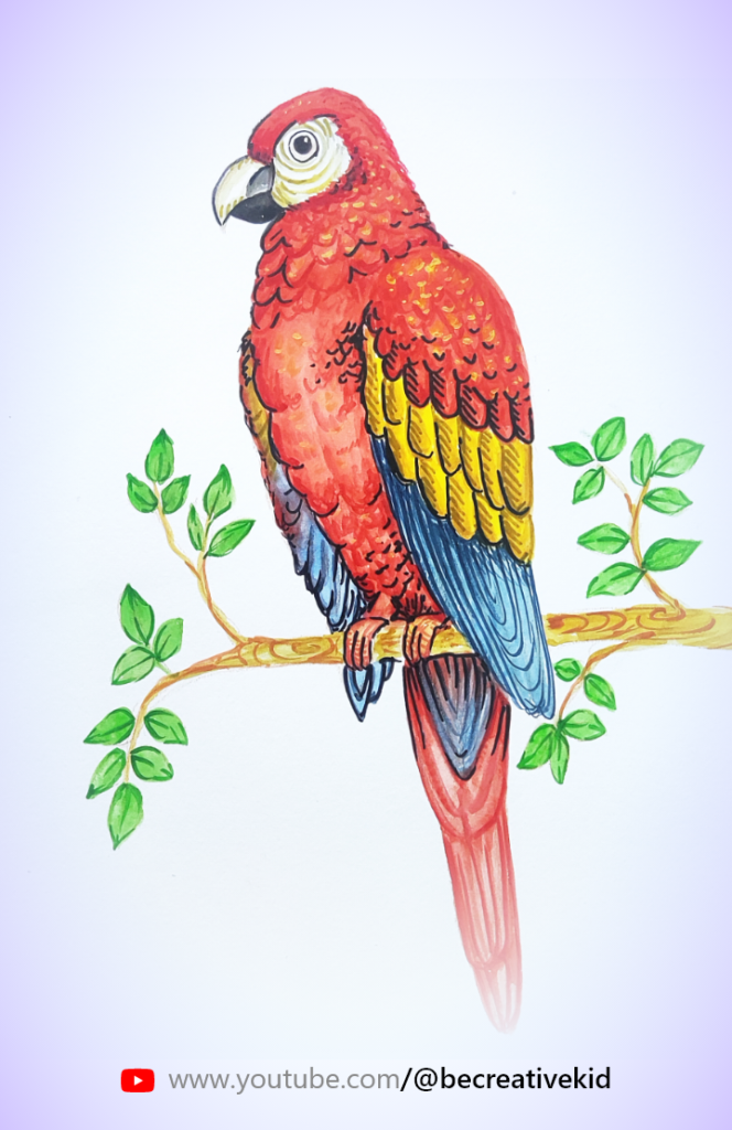 Download free coloring page for coloring Parrot pdf download and fill color - how to fill color Parrot