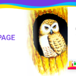 Download Free coloring pages for coloring Owl pdf download and fill color - how to fill color Owl