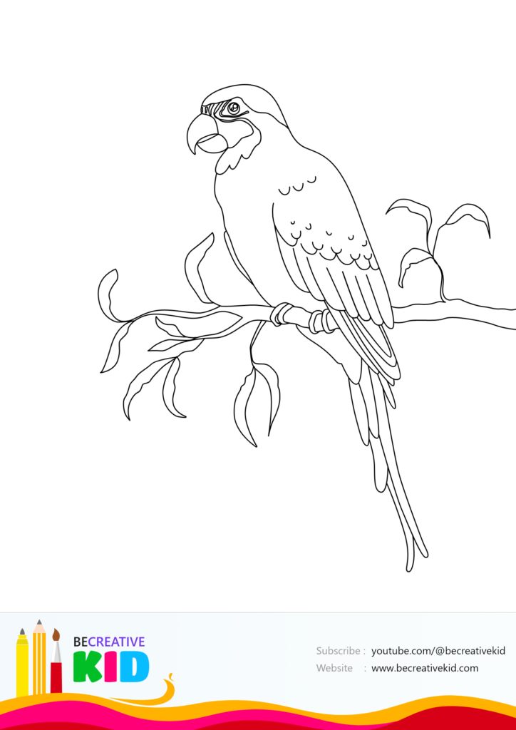 Download coloring page for coloring Parrot pdf download and fill color - how to fill color Parrot