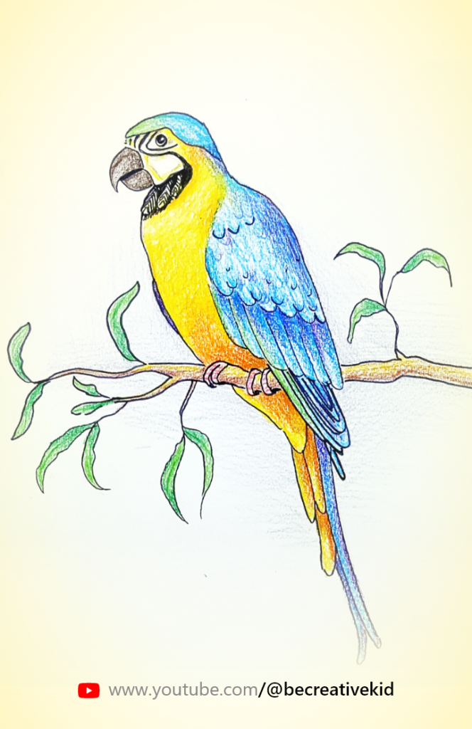 Download coloring page for coloring Parrot pdf download and fill color - how to fill color Parrot