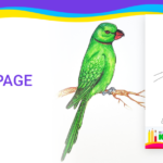 Free coloring page for coloring Parrot pdf download and fill color - how to fill color Parrot