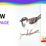 Download Free coloring page for coloring Sparrow pdf download and fill color - how to fill color Sparrow