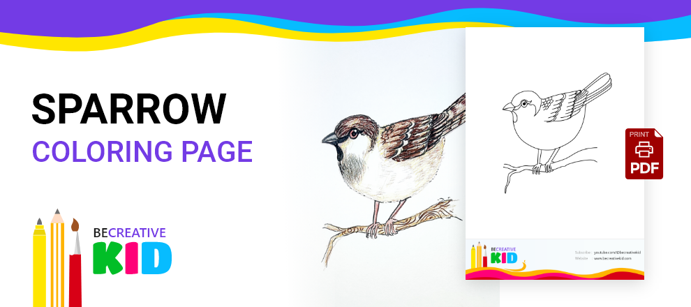 Download Free coloring page for coloring Sparrow pdf download and fill color - how to fill color Sparrow