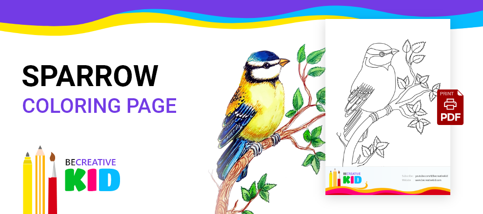 Download Free coloring pages for coloring Sparrow pdf download and fill color - how to fill color Sparrow