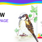 Free coloring pages for coloring Sparrow pdf download and fill color - how to fill color Sparrow