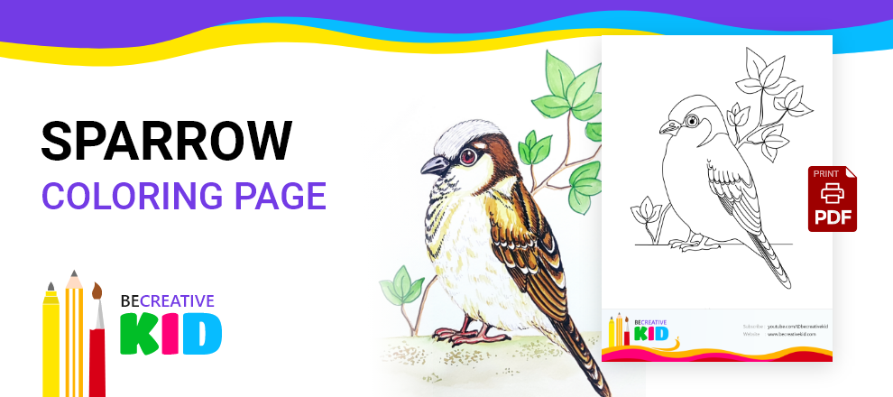 Free coloring pages for coloring Sparrow pdf download and fill color - how to fill color Sparrow